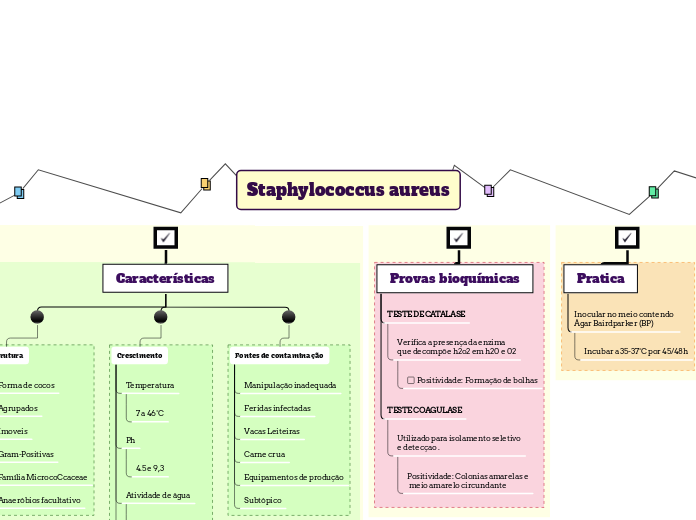 Staphylococcus aureus - Mapa Mental