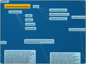 Polska Pierwszych Piastów - Mind Map