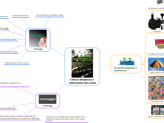 Coltura idroponica o coltivazione fuori suolo