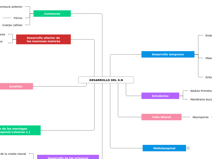 DESARROLLO DEL S.N - Mapa Mental