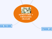 ESTRUCTURA Y FISIOLOGIA CELULAR - Mapa Mental