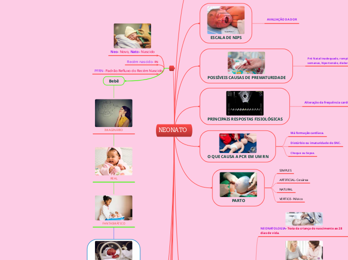 NEONATO - Copiar