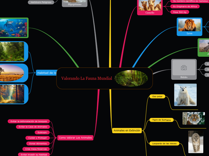 Valorando La Fauna Mundial - Mapa Mental