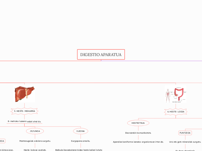 DIGESTIO APARATUA - Mind Map