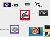 Fotografia - Mappa Mentale