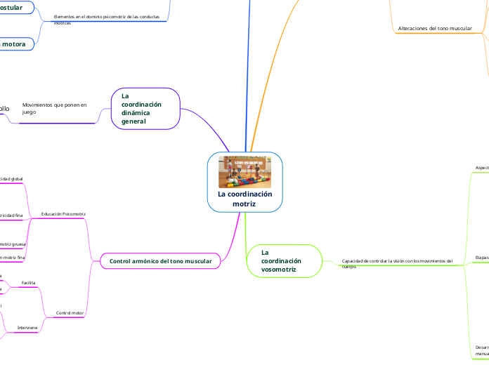 La coordinación
motriz  - Mapa Mental