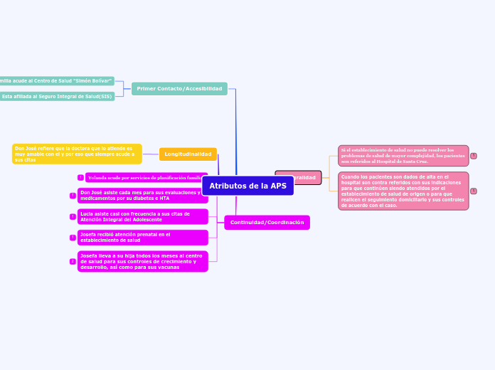 Atributos de la APS - Mapa Mental