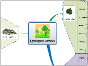 Quelques arbres - Carte Mentale