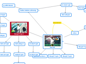 testmk - Mindmap