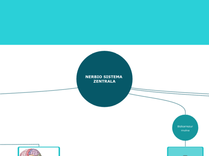 NERBIO SISTEMA ZENTRALA - Mind Map