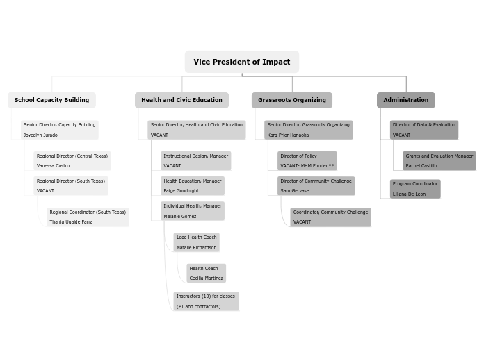 Vice President of Impact - Mind Map