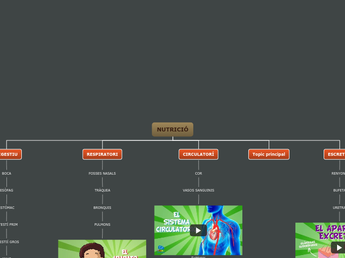 NUTRICIÓ - Mapa Mental