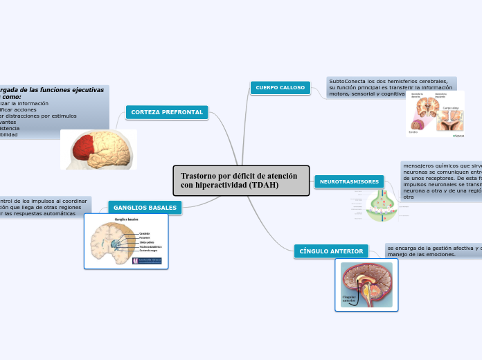 Trastorno por déficit de atención con hiperactividad (TDAH)