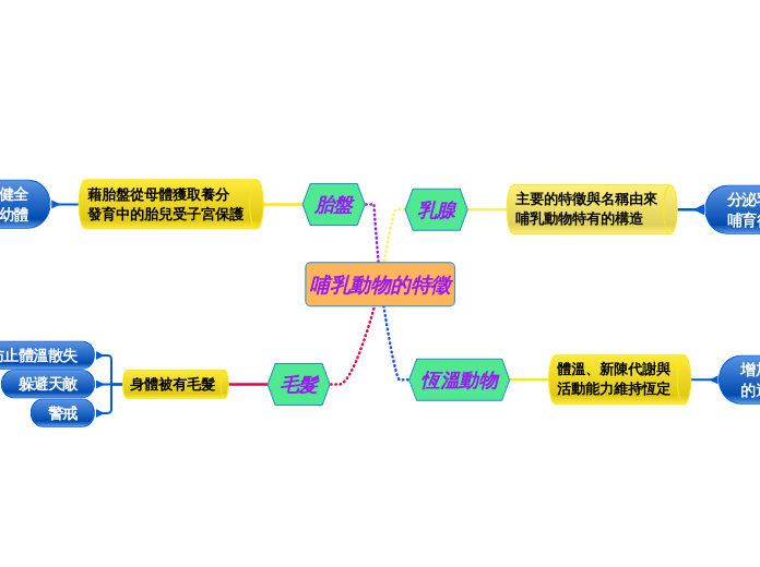 哺乳動物的特徵 - 思維導圖