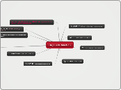 Organelle function - Mind Map