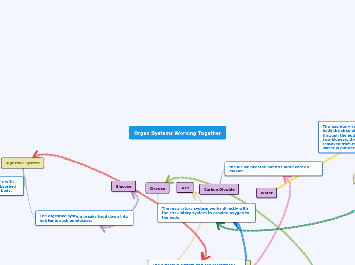 Organ Systems Working Together - Mind Map