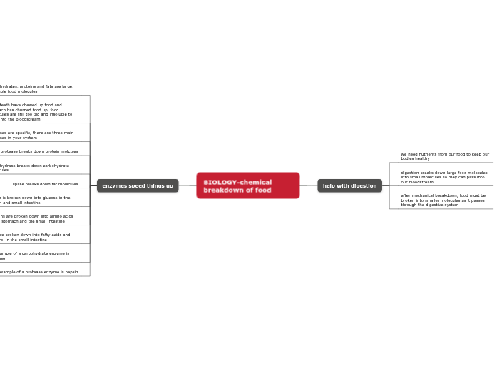 YOSHE-BIOLOGY-chemical breakdown of food YOSHE-BIOLOGY-chemical breakdown of food