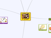 El camotito - Mapa Mental