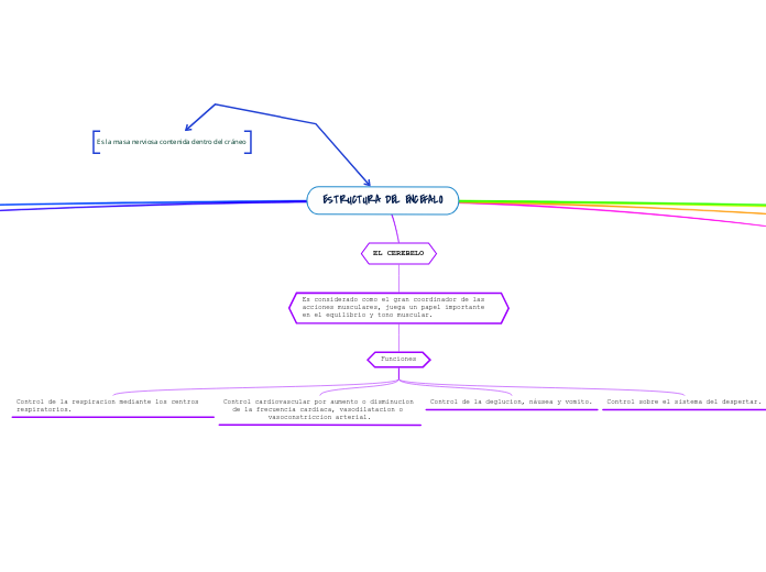 ESTRUCTURA DEL ENCEFALO