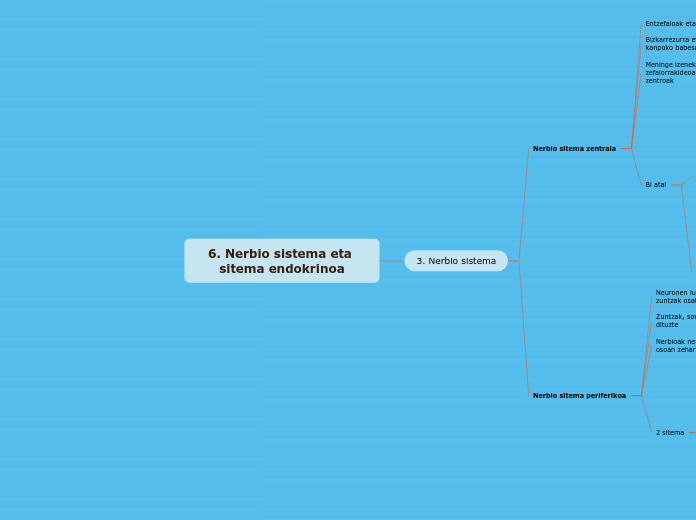 6. Nerbio sistema eta sitema endokrinoa