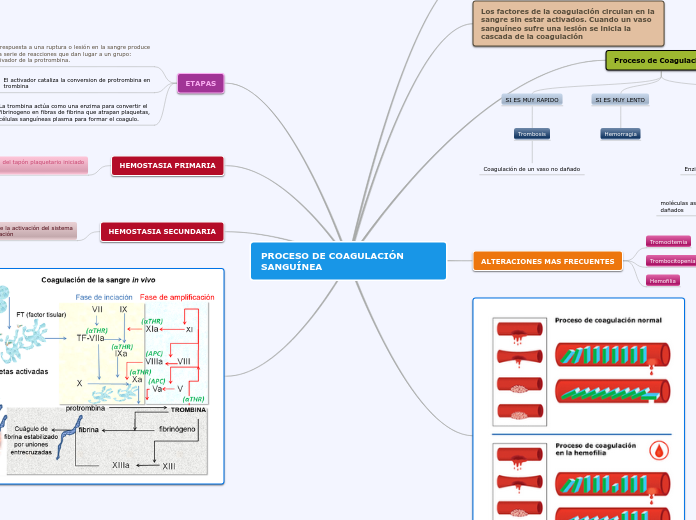 PROCESO DE COAGULACIÓN SANGUÍNEA