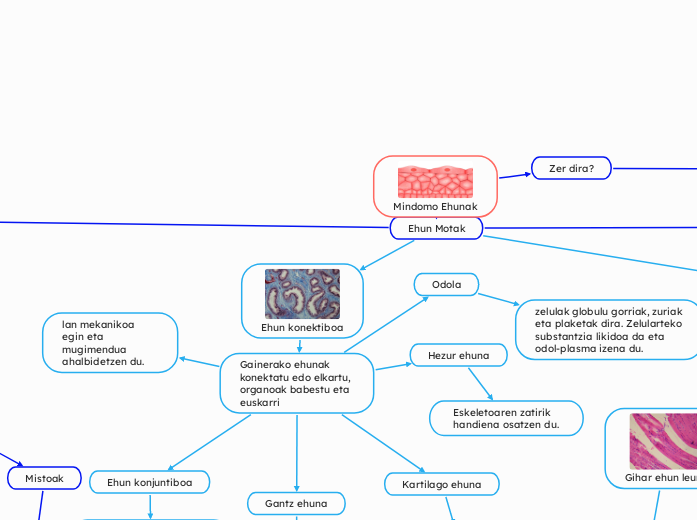 Mindomo Ehunak - Mind Map