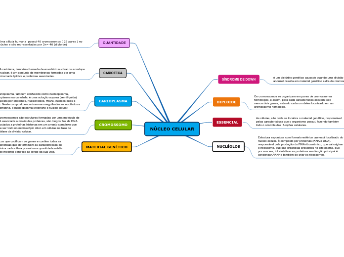 NÚCLEO CELULAR - Mapa Mental