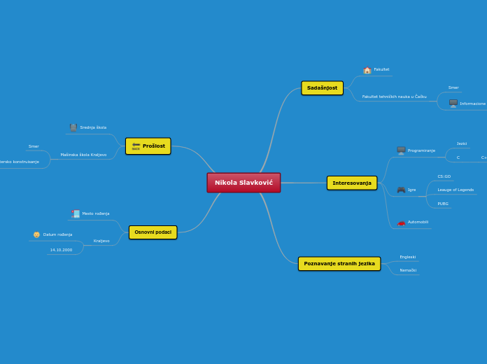 Nikola Slavković - Mind Map