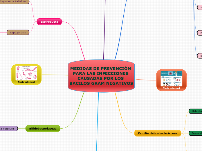 MEDIDAS DE PREVENCIÓN PARA LAS INFECCIONES CAUSADAS POR LOS BACILOS GRAM NEGATIVOS