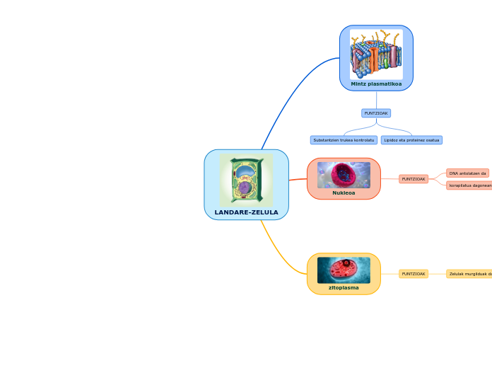 LANDARE-ZELULA - Mind Map