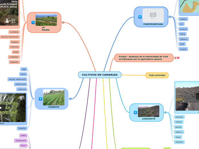CULTIVOS EN CANARIAS