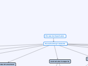 Proceso de Exportacion - Mapa Mental