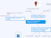 Regulación Respiratoria durante el ejercicio