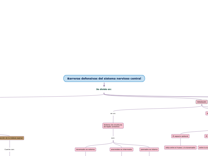 Barreras defensivas del sistema nervioso central