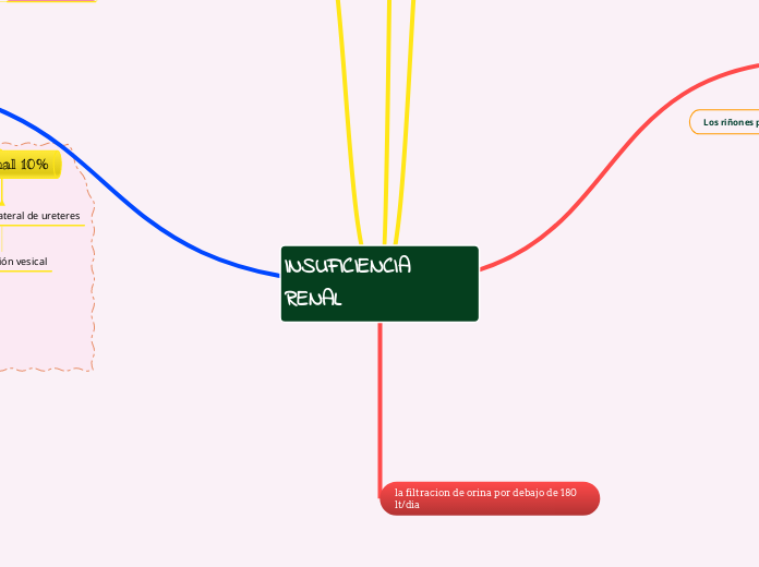 INSUFICIENCIA RENAL - Mapa Mental