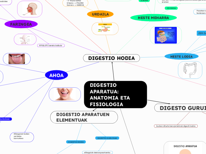 DIGESTIO APARATUA:
ANATOMIA ETA FISIOLOGIA - Mind Map