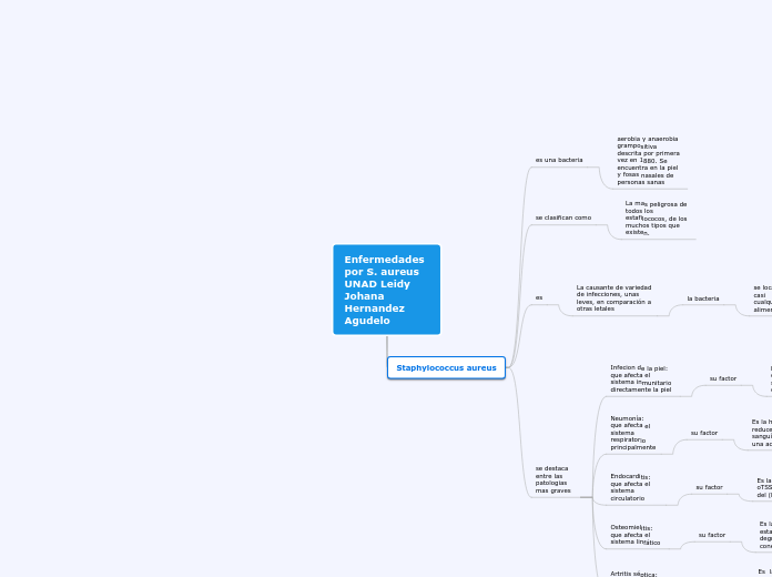 Enfermedades por S. aureus UNAD Leidy J...- Mapa Mental