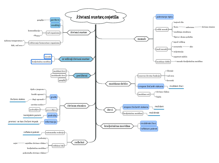 Živčani sustav, osjetila - Mind Map