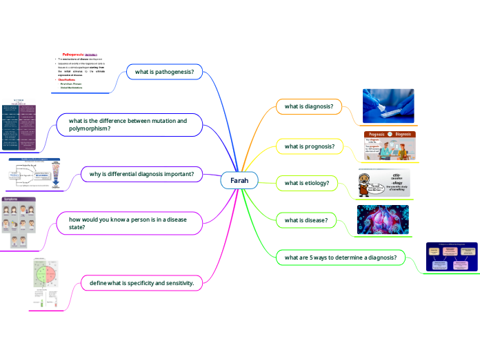 Farah - Mind Map