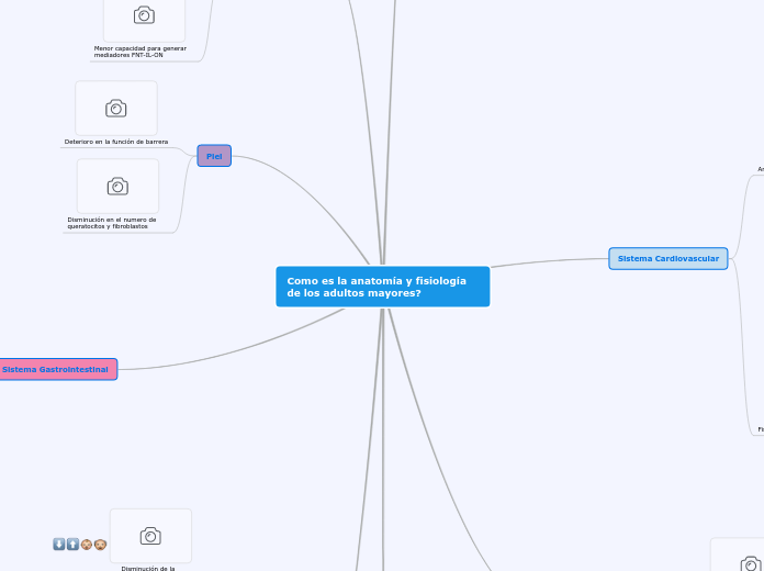 Anatomia y fisiologia en el adulto mayor