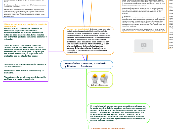 Hemisferios  Derecho,  Izquierdo y lóbu...- Mapa Mental