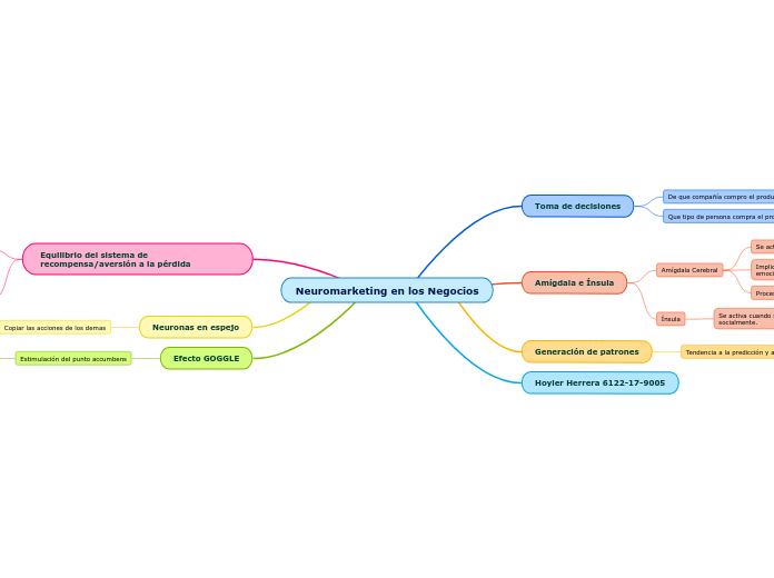 Neuromarketing en los Negocios - Mapa Mental