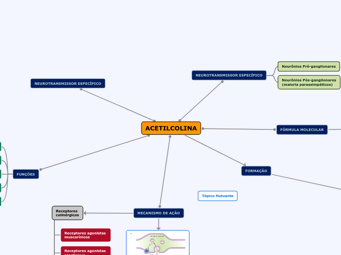 ACETILCOLINA - Mapa Mental
