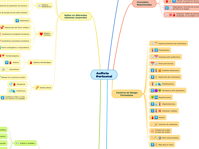 Asfixia 
Perinatal - Mapa Mental