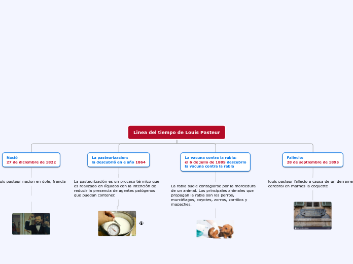 Linea del tiempo de Louis Pasteur - Mapa Mental