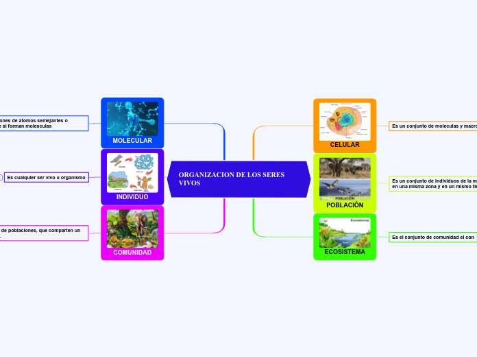 ORGANIZACION DE LOS SERES VIVOS - Mapa Mental