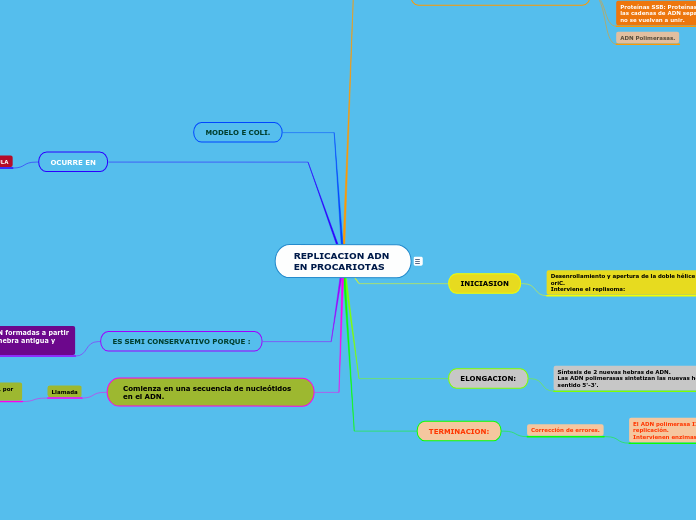 REPLICACION ADN 
EN PROCARIOTAS - Mapa Mental