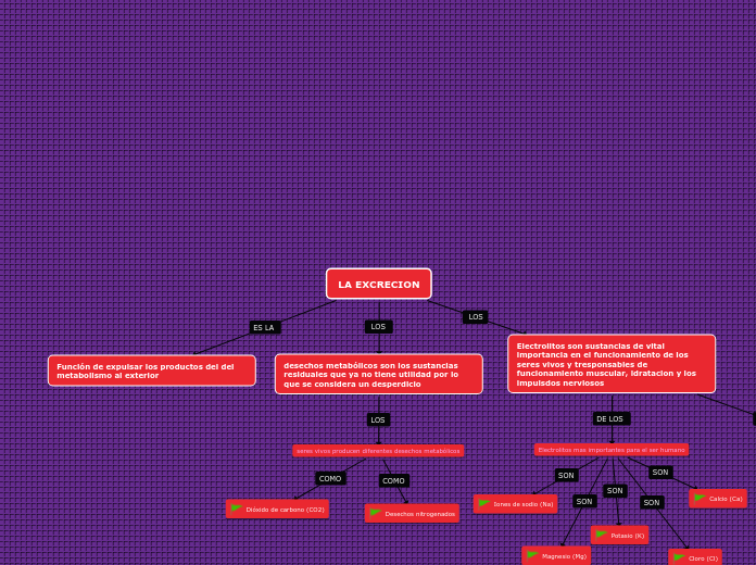 LA EXCRECION - Mapa Mental