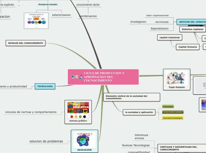 CICLO DE PRODUCCION Y APROPIACION DEL C...- Mapa Mental