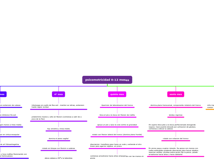 psicomotricidad 0-12 meses - Mapa Mental